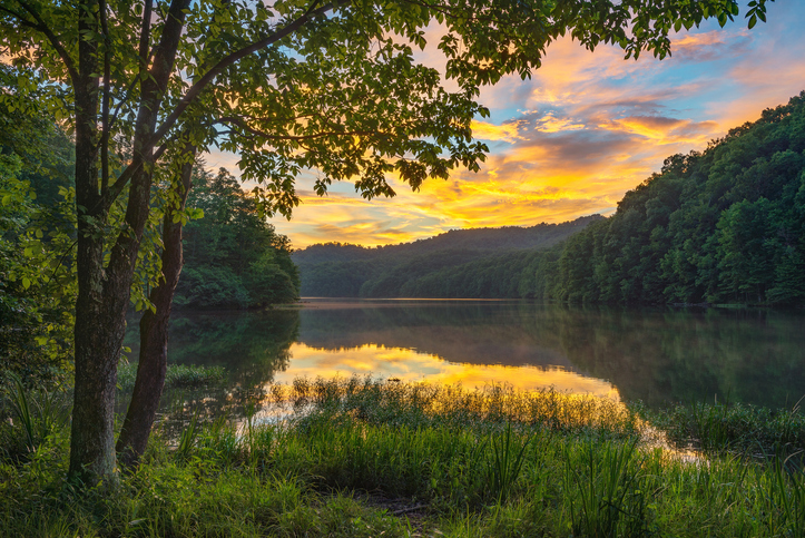 image of green grass, trees, lake, and pre-sunset sky
